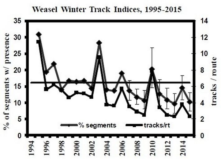 Graph of winter track data (1994-2015) for ermine