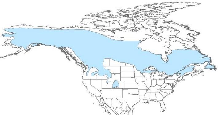 Map of North America with most of Canada and Alaska highlighted in Blue