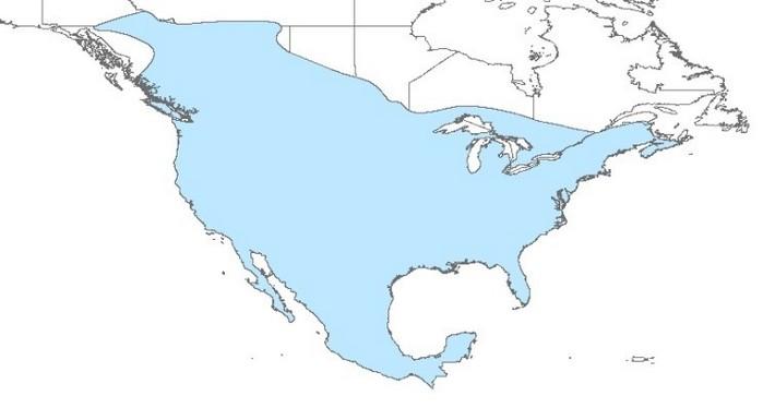 Map of North America with most Canada and and all of US highlighted in blue