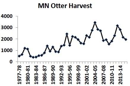 Graph of otter harves data from 1975-2014 in Minnesota