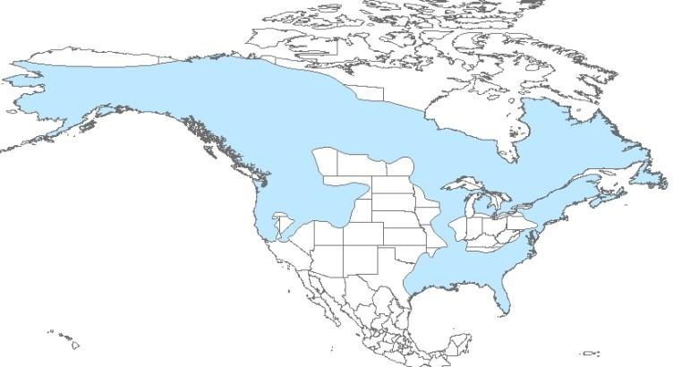 Map of North America with most of Canada and Alaska, and Southeast US highlighted in Blue