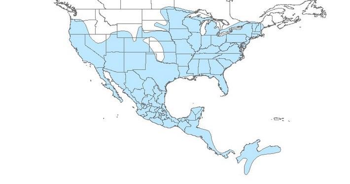 Map of North America with most of the United States and Central America highlighted in blue