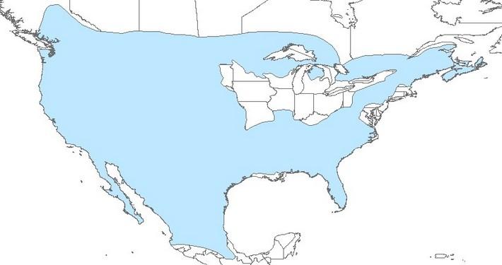 Map of North America with most of the United States highlighted in blue