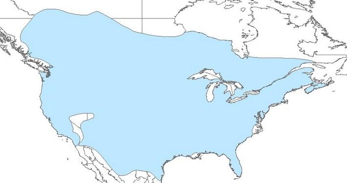 Map of North America with most of Canada and US highlighted in Blue